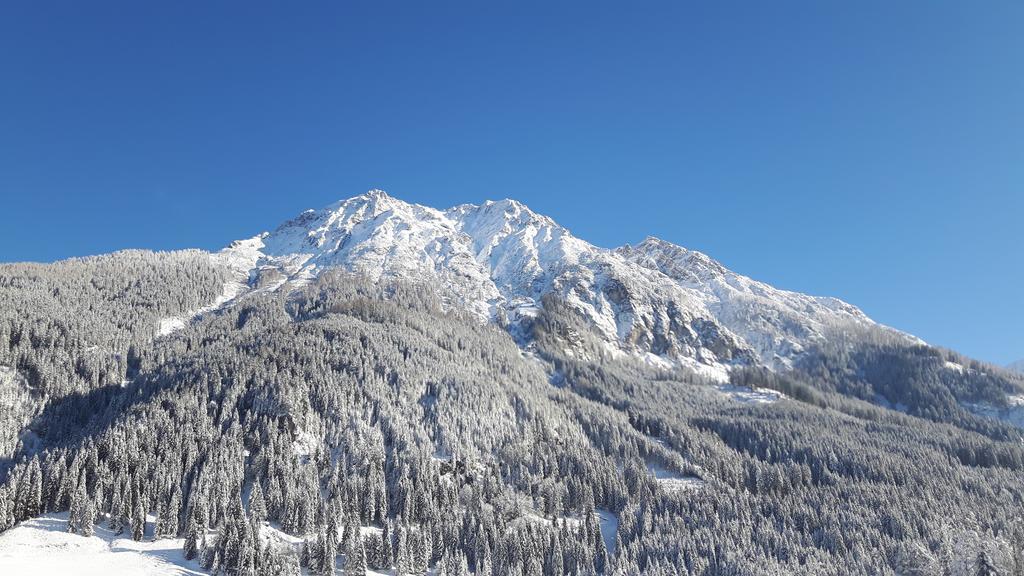 Haus Viehhauser Kleinarl Dış mekan fotoğraf