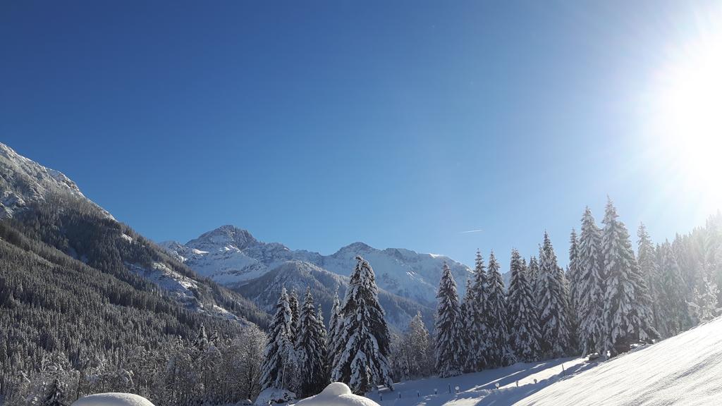 Haus Viehhauser Kleinarl Dış mekan fotoğraf