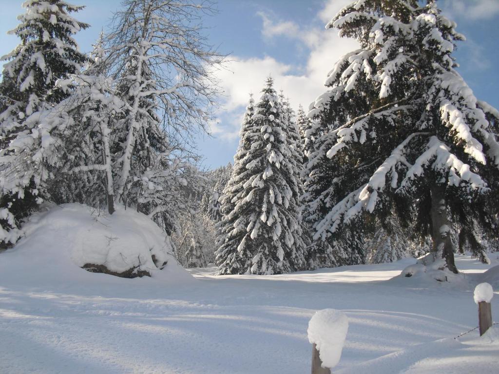 Haus Viehhauser Kleinarl Dış mekan fotoğraf